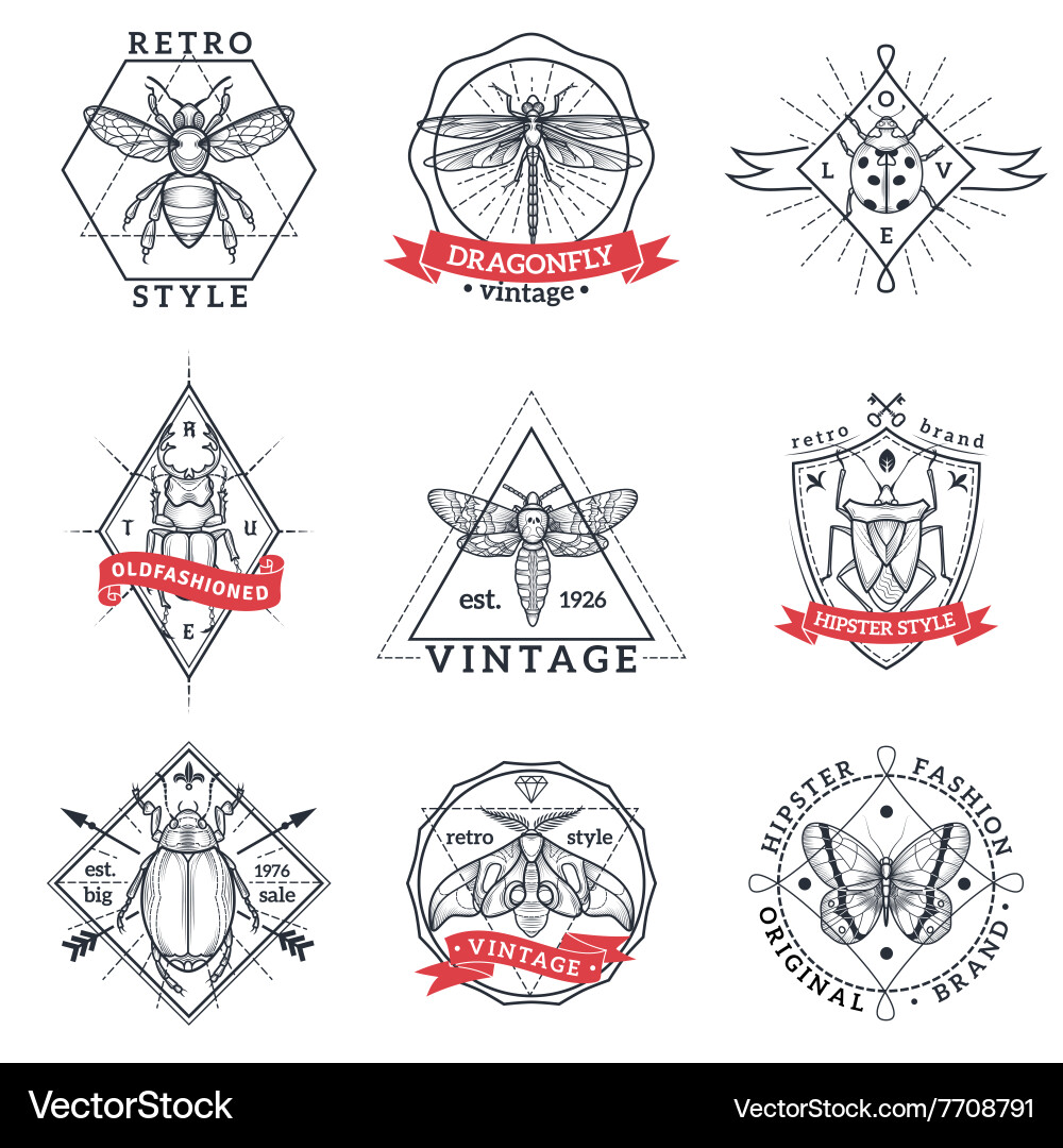 Insects labels set Royalty Free Vector Image - VectorStock