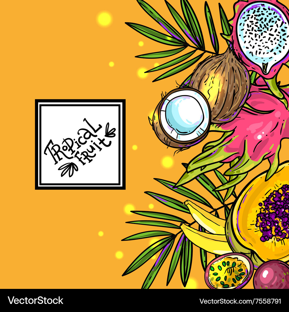 Tropical fruit Royalty Free Vector Image - VectorStock