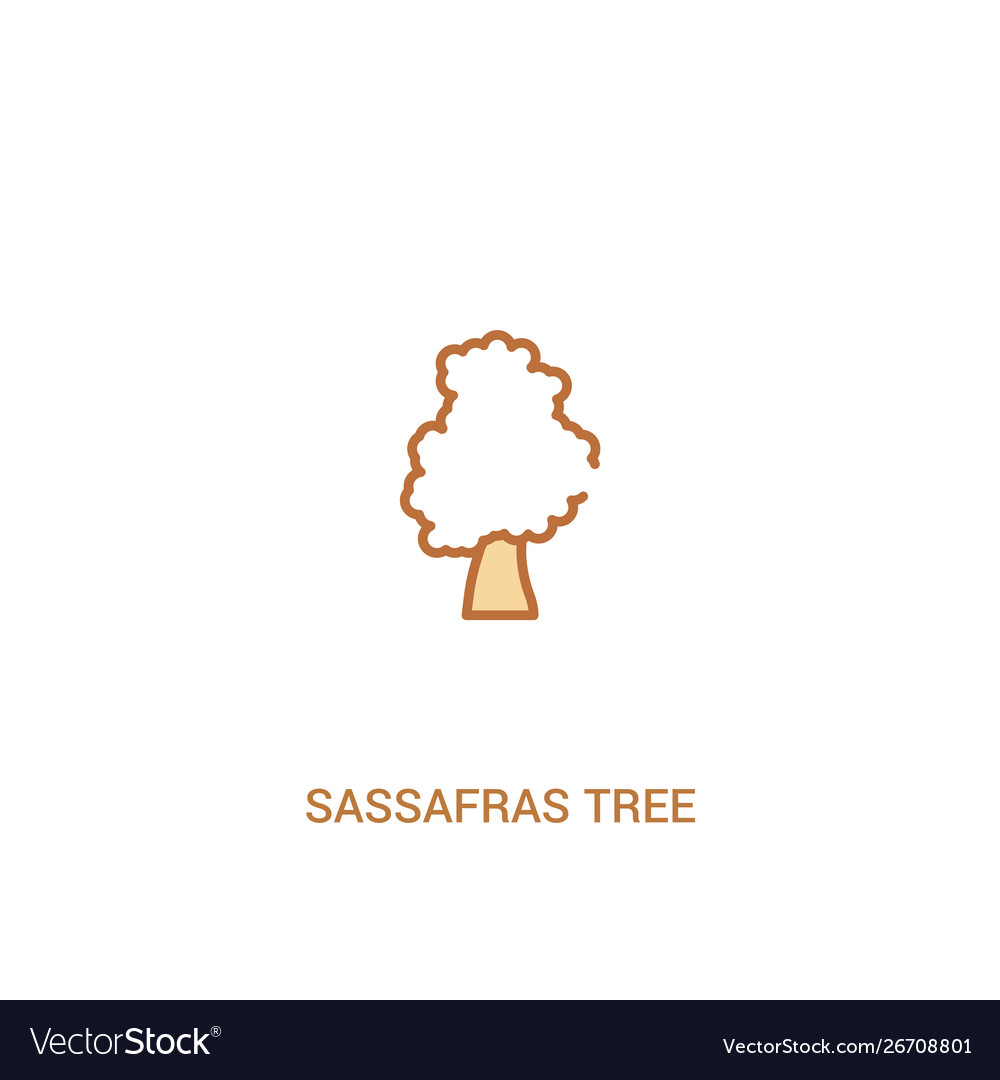 Sassafras tree concept 2 colored icon simple line vector image Sassafras tree concept 2 colored icon simple line