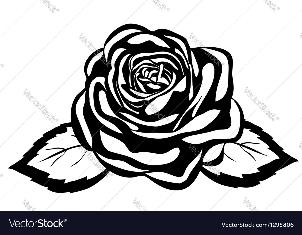 Abstract Black And White Rose