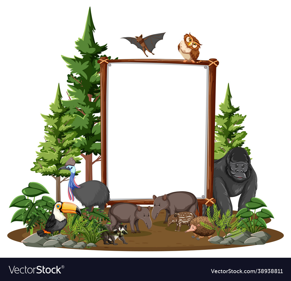 Empty banner with wild animals and rainforest