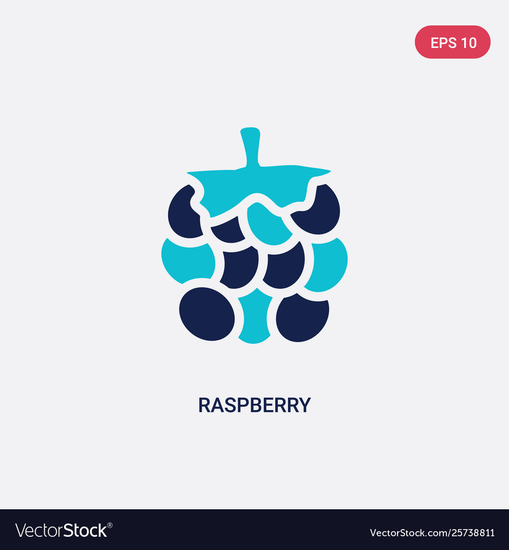 Two color raspberry icon from fruits concept