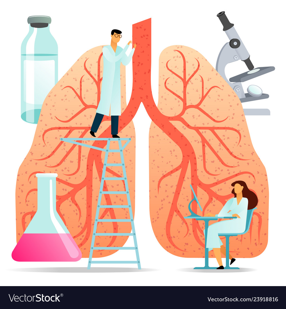 Flat large human lungs Royalty Free Vector Image