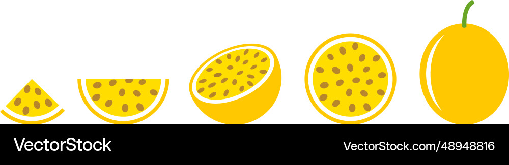 Passion fruit Royalty Free Vector Image - VectorStock