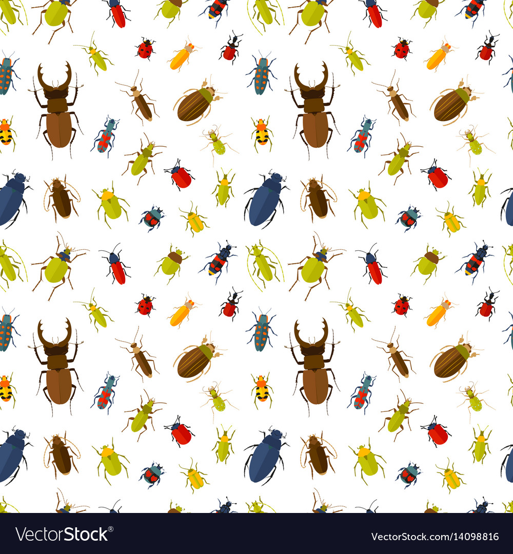 Seamless pattern with insects