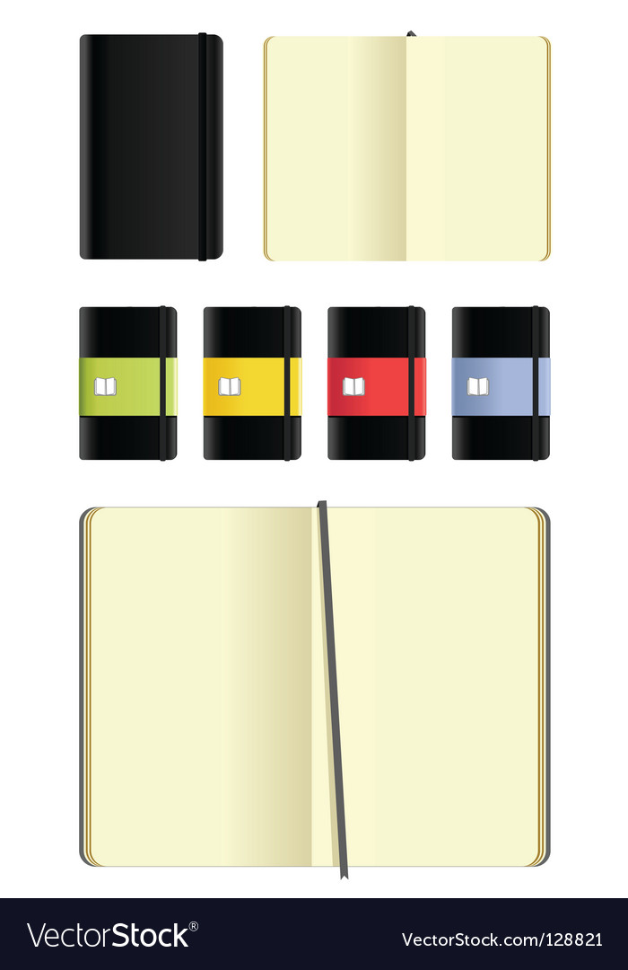 Moleskin notebooks set