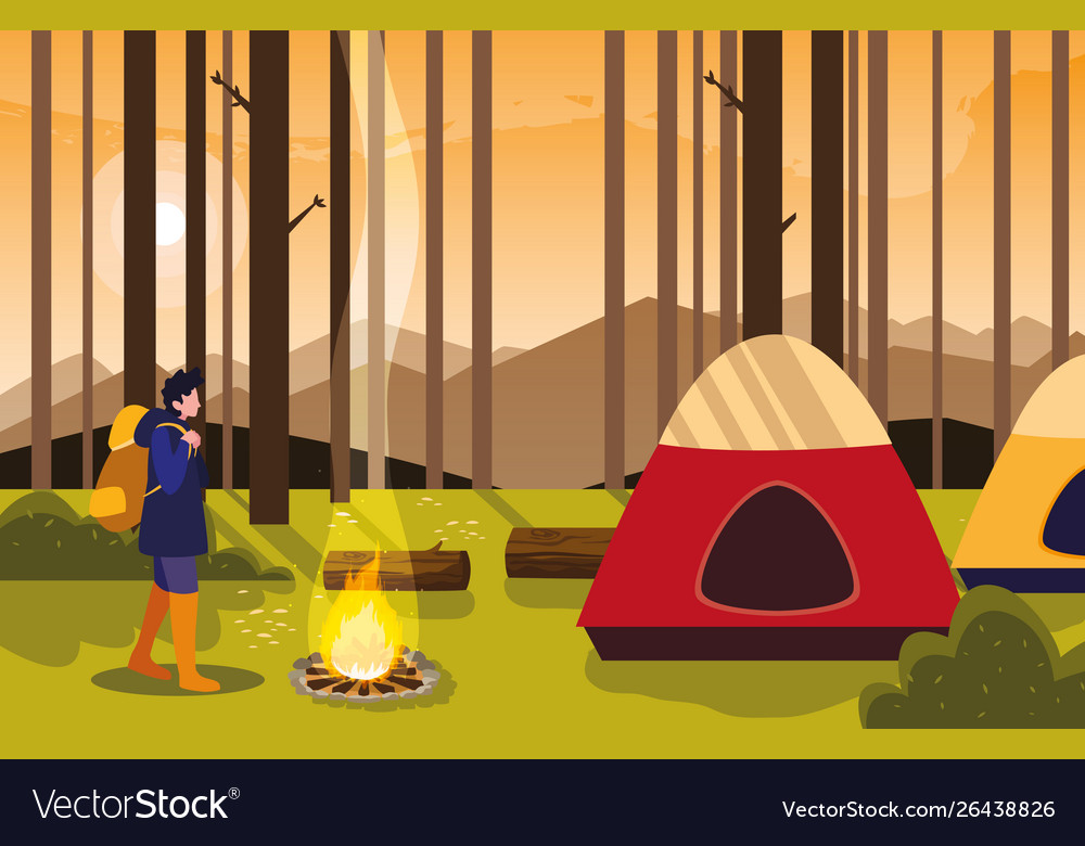 Man camping campfire forest tent Royalty Free Vector Image