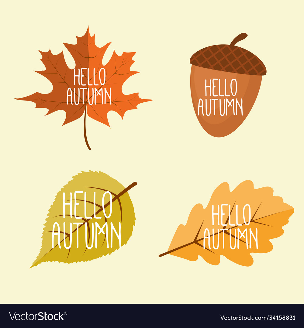 Abstract hello autumn background with falling
