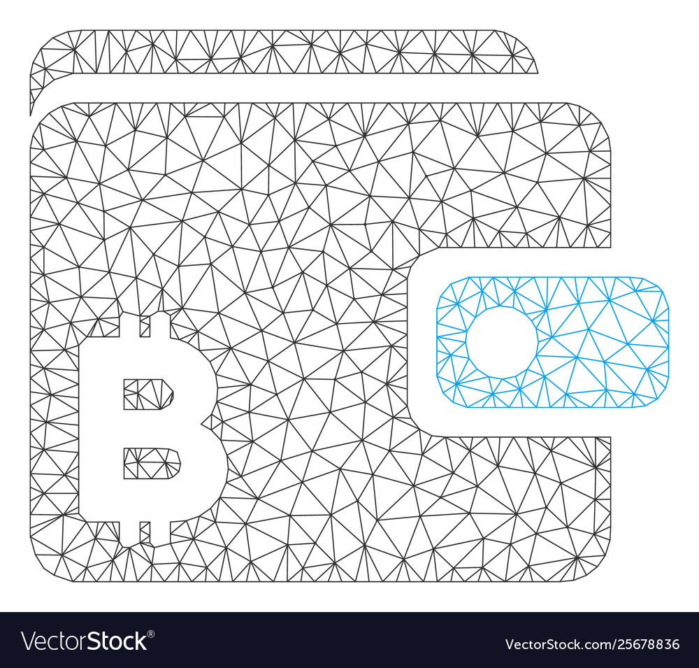 Bitcoin wallet mesh carcass model vector image Bitcoin wallet mesh carcass model