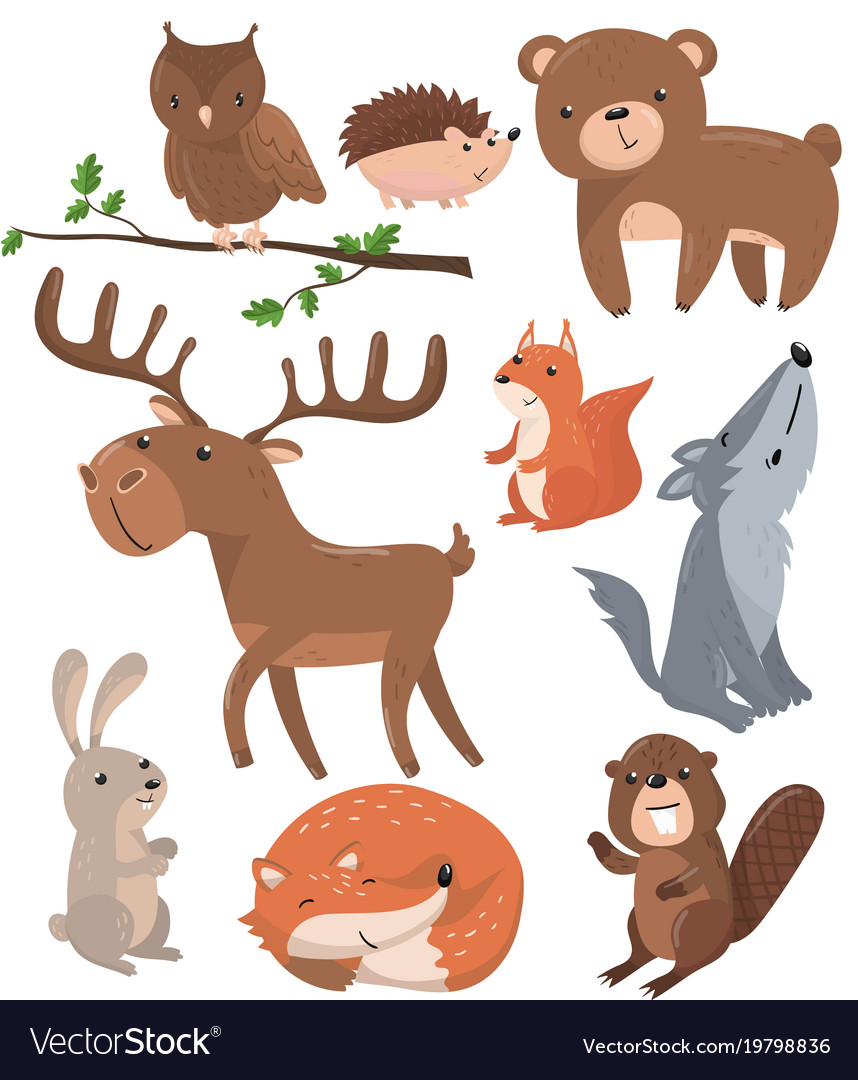 Forest animals set woodland cute animal owl bird Vector Image