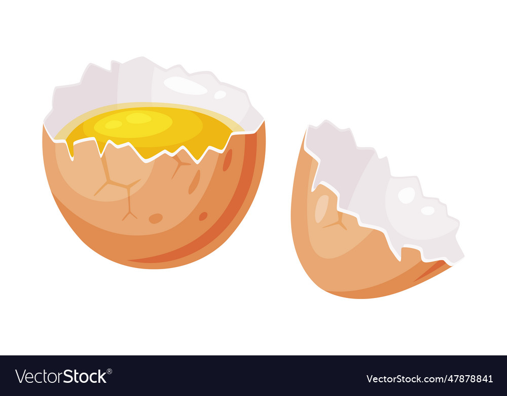 Raw uncooked egg with cracked brown shell Vector Image