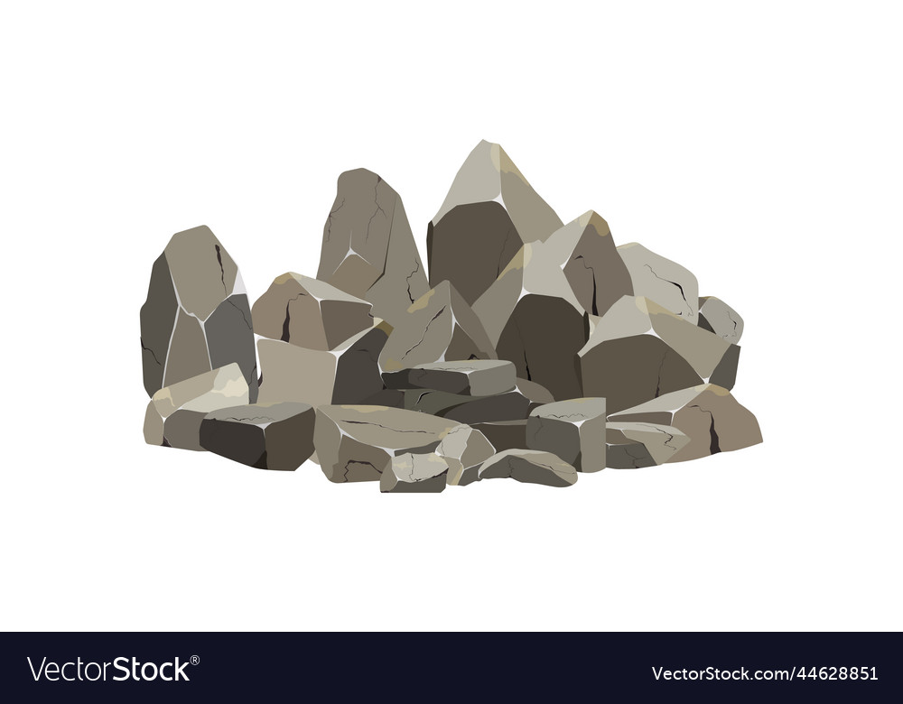 Collection of stones various shapes and plants