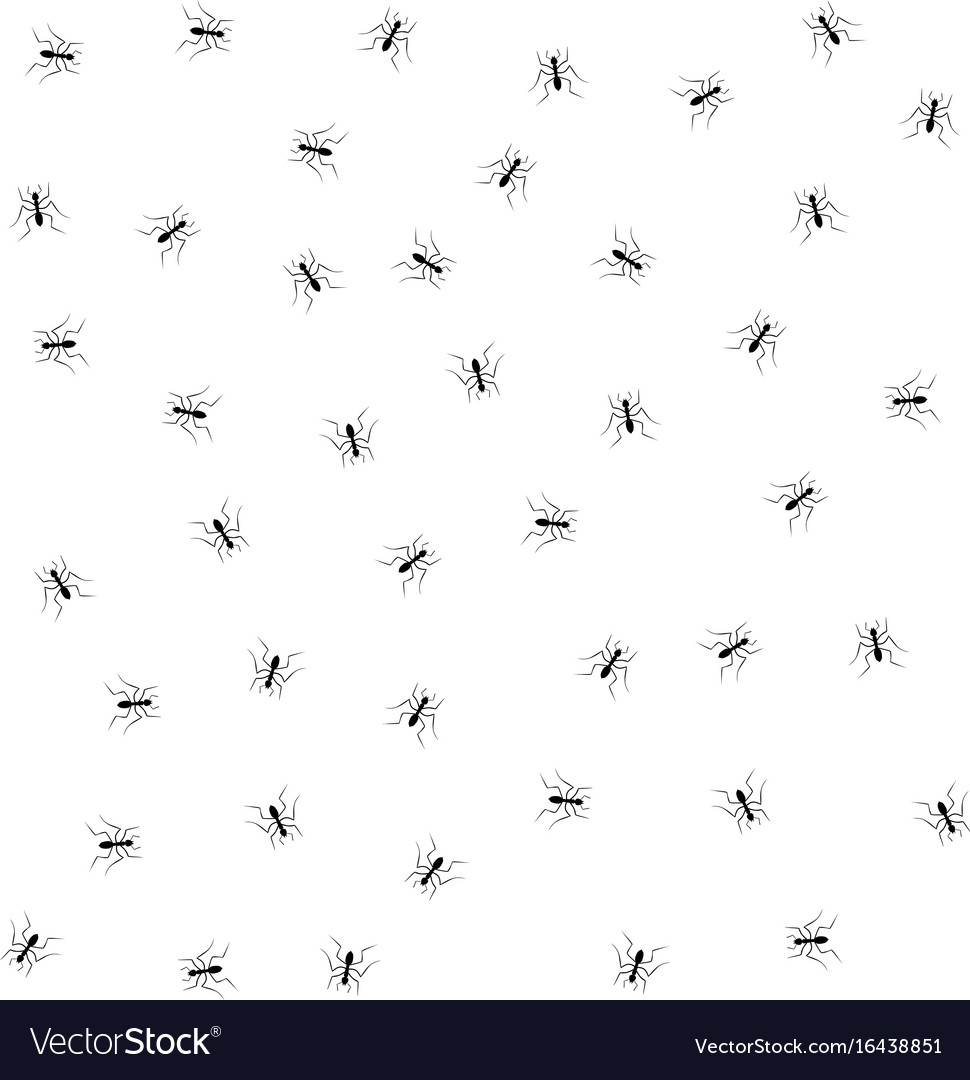 Insect pattern