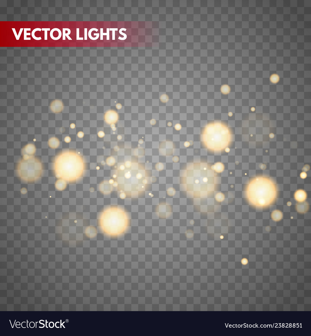 Shining bokeh isolated on transparent background vector image Shining bokeh isolated on transparent background