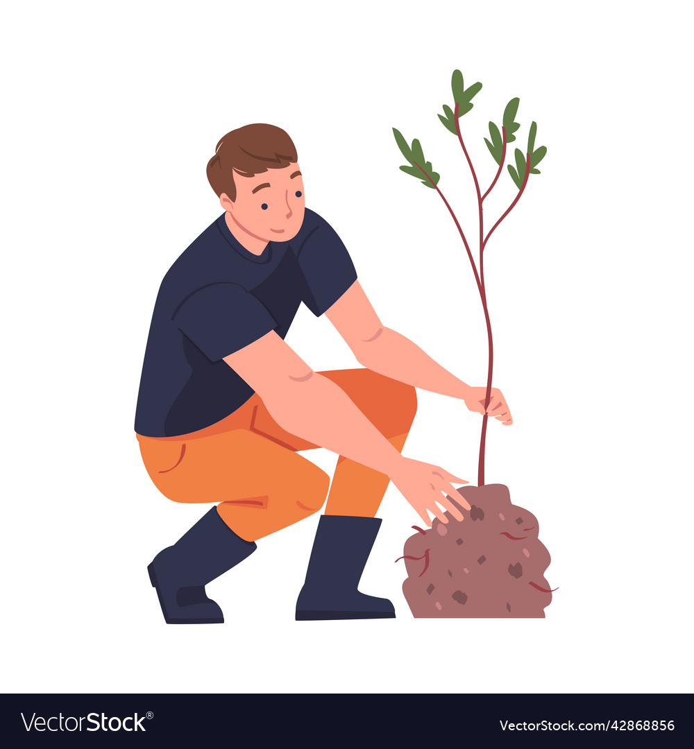 Man character planting tree sapling in soil taking Vector Image Man character planting tree sapling in soil taking