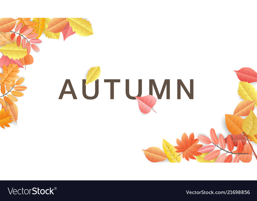 Paper cut autumn leaves on white background Vector Image