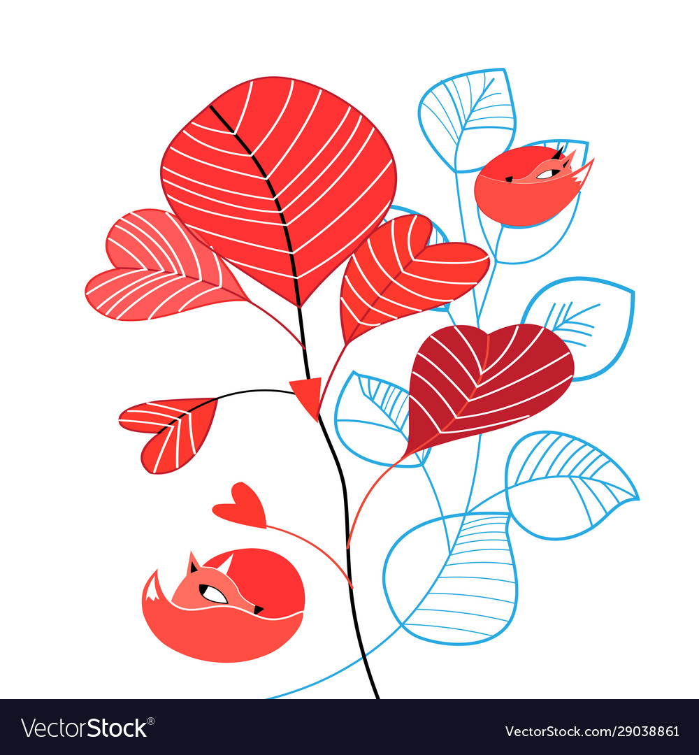 An unusual pattern red foxes