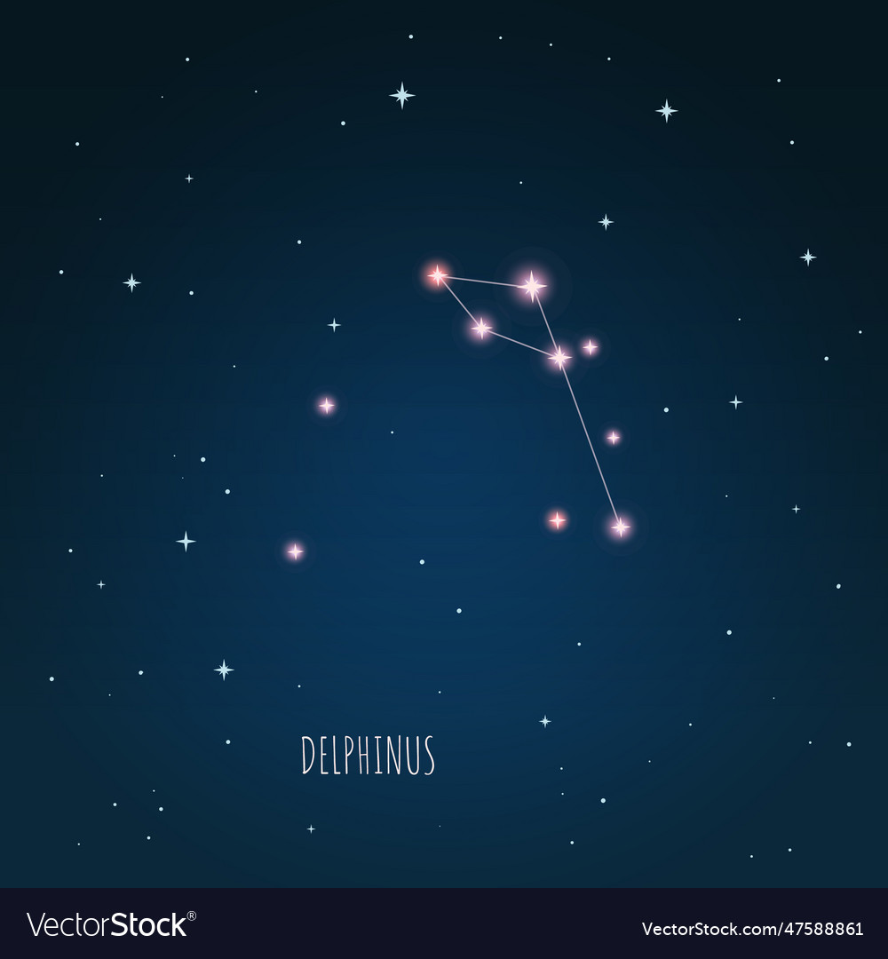 Constellation delphinus scheme in starry sky space vector image Constellation delphinus scheme in starry sky space