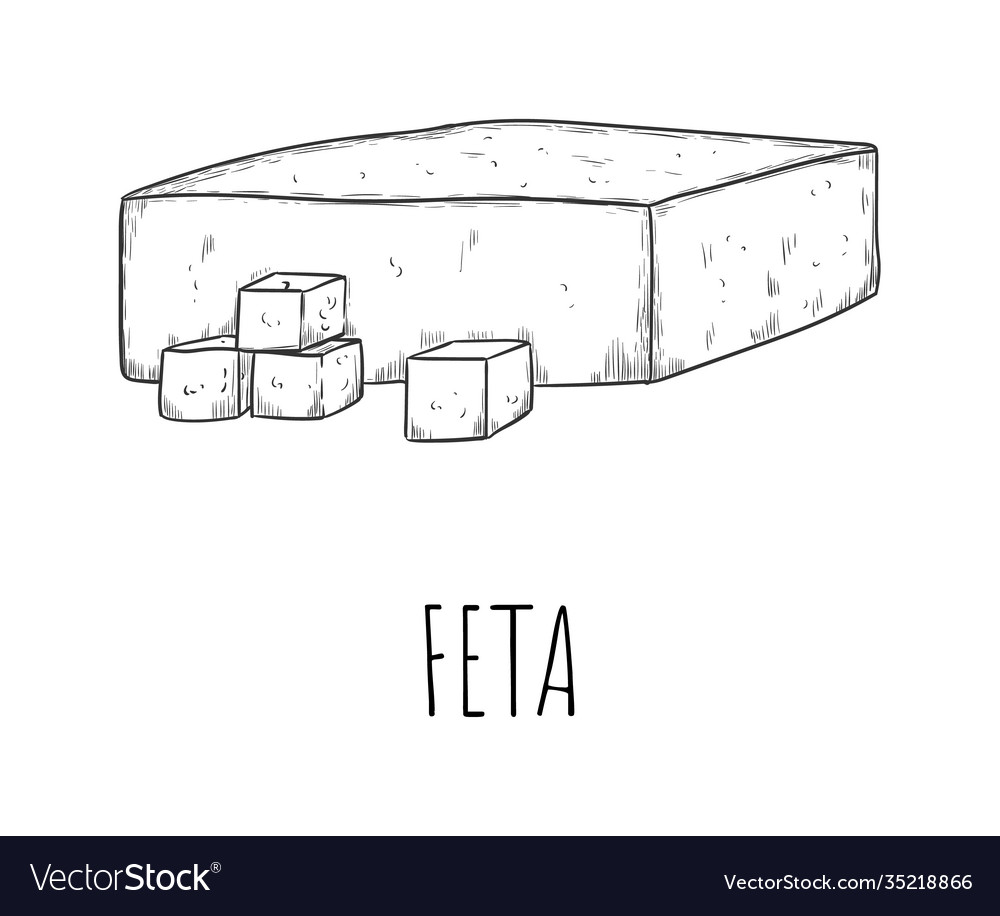 Feta cheese dairy product snack sketch isolated