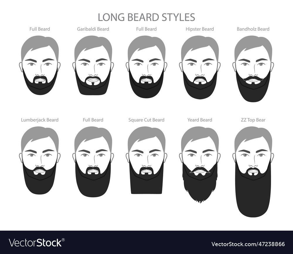 Set of long beard and mustache with name text vector image Set of long beard and mustache with name text