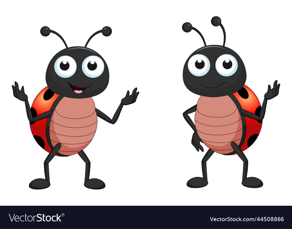 Two ladybugs in different positions cartoon