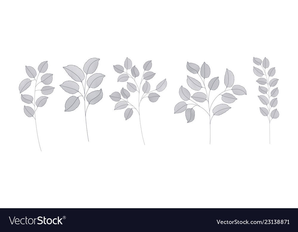 Set of monochrome laurel leafs