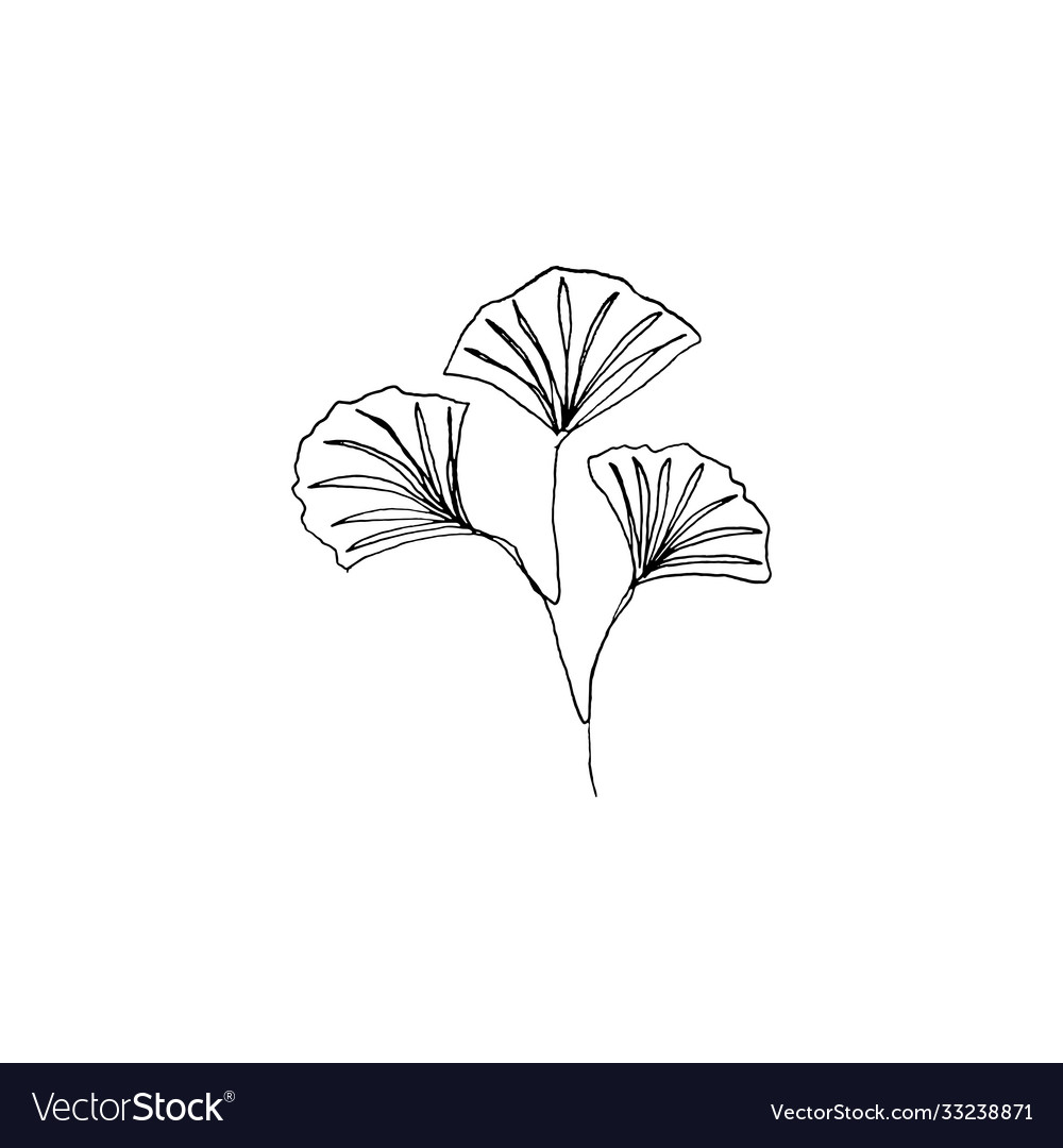 continuous-line-art-12674583-vector-art-at-vecteezy