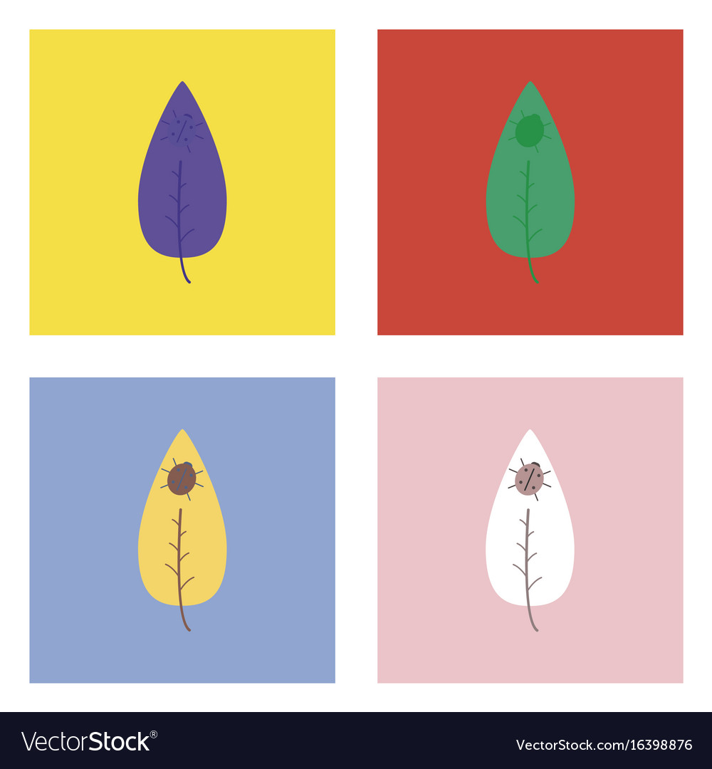 Flat icon design collection leaf and ladybug