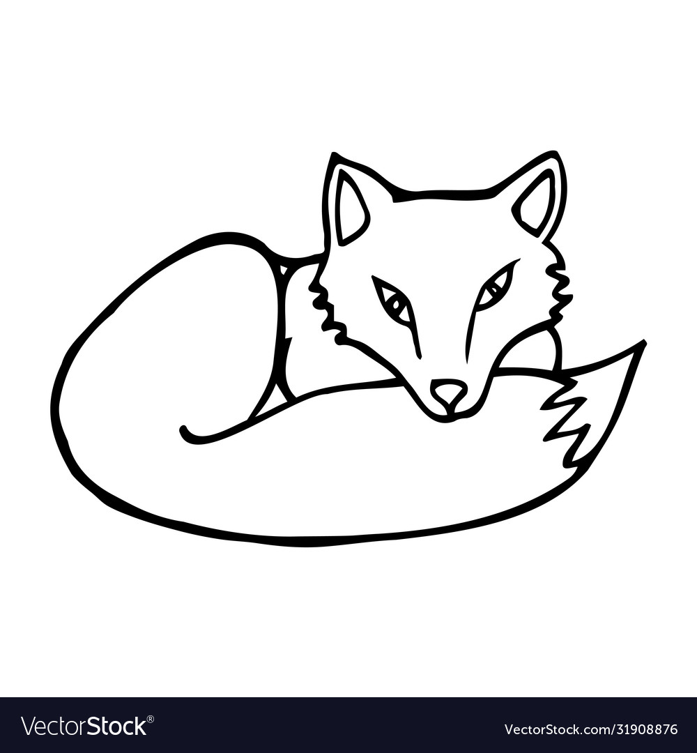 Hand drawn fox cartoon fox outline doodle style Vector Image