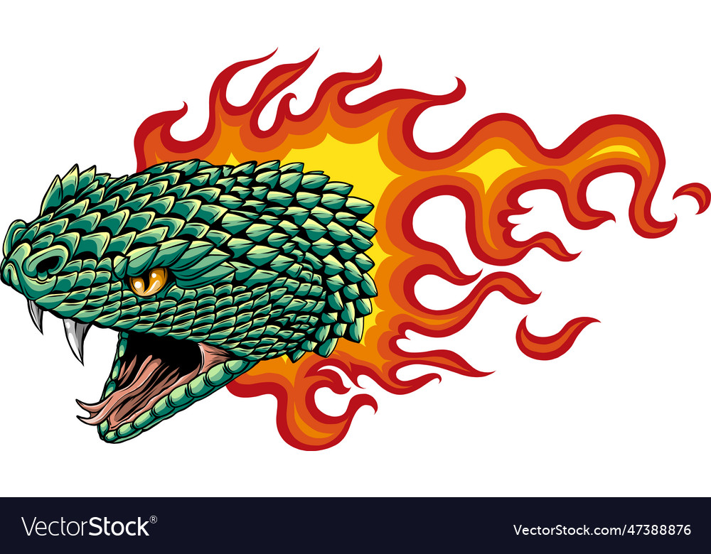 Snake Head Hand Drawn Design Royalty Free Vector Image