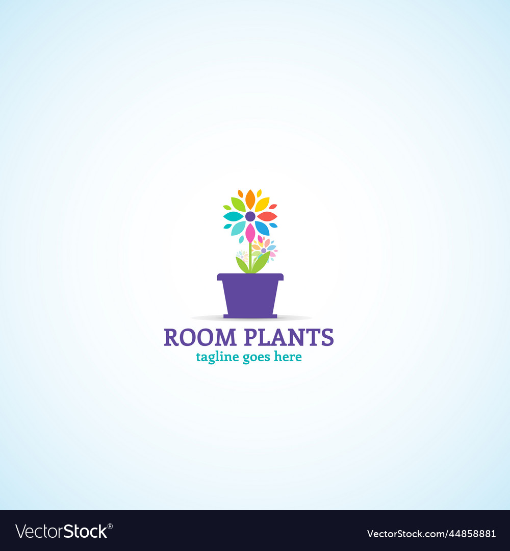 Bright decroactive room flower in a pot
