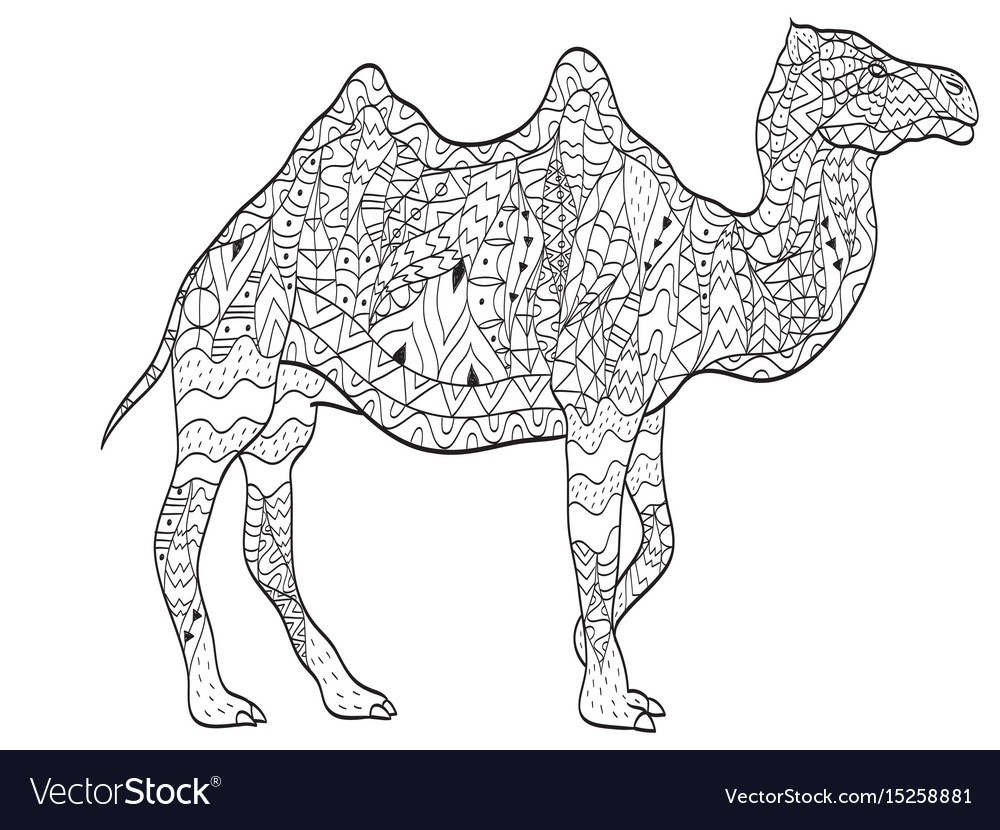 Coloring camel animal for adults