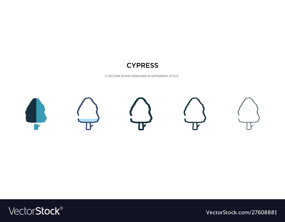 Cypress icon in different style two colored Vector Image Cypress icon in different style two colored