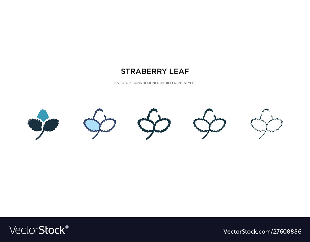 Strawberry leaf icon in different style two