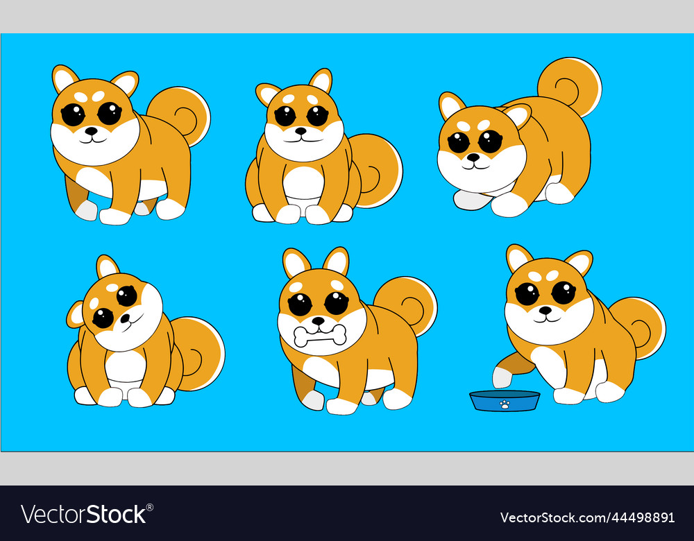 Different shiba inu dogs stand in poses