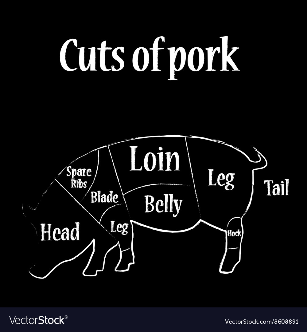 Pork cuts Royalty Free Vector Image - VectorStock