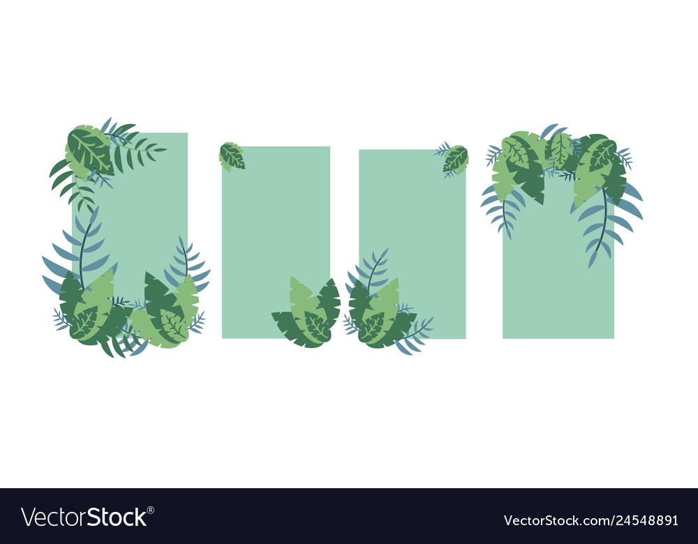 Set of 4 frames with flowers on the border