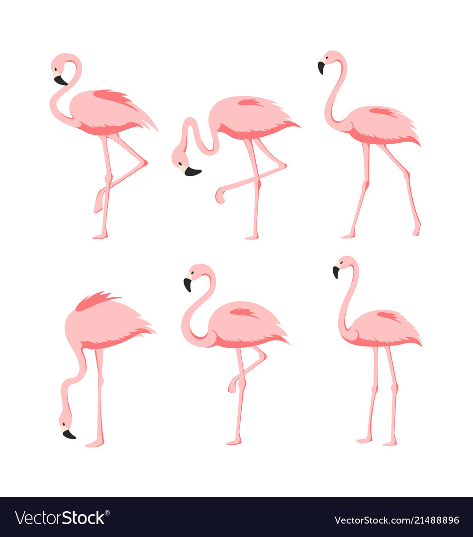 Elegant Pink Flamingos Set