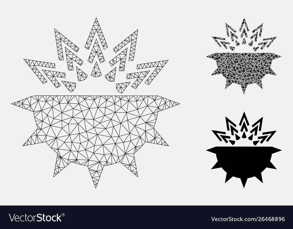Virus structure mesh network model