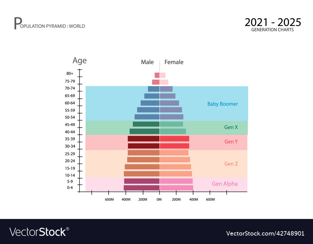 2021-2025 population pyramids graphs with 5 gener