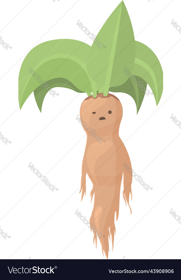 Hand drawing illustration. Vector illustration of mandrake. Mandragora root  homunculus, alchemy ingredient, witchcraft, sorcery mystical creature.  Halloween character. Botanical. Coloring page ilustração do Stock