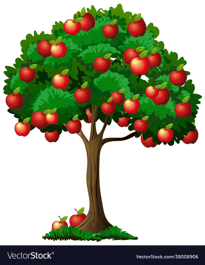 Apple tree isolated on white background Royalty Free Vector