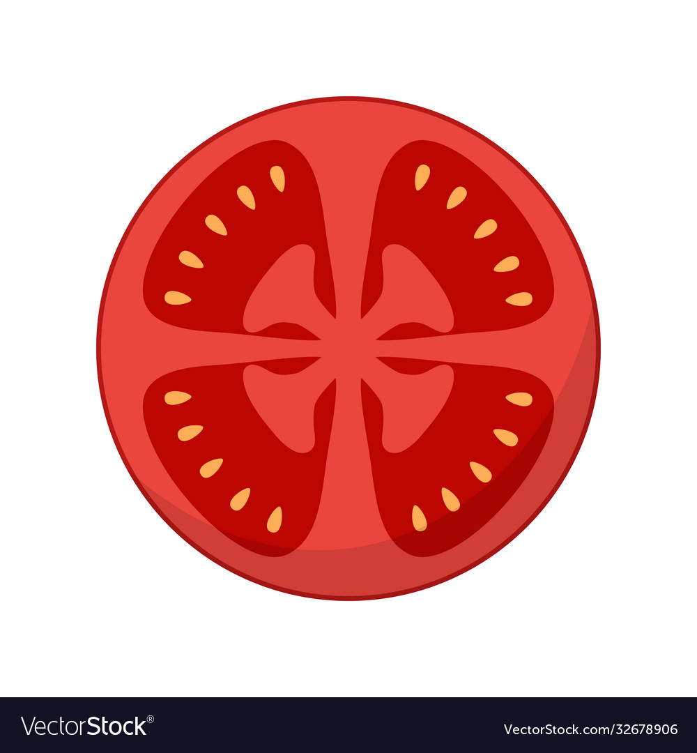 Slice tomato isolated on white background Vector Image