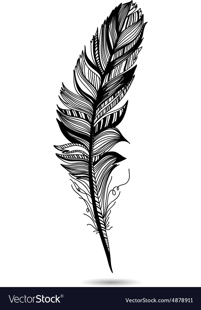 Elegant Monochrome Feather