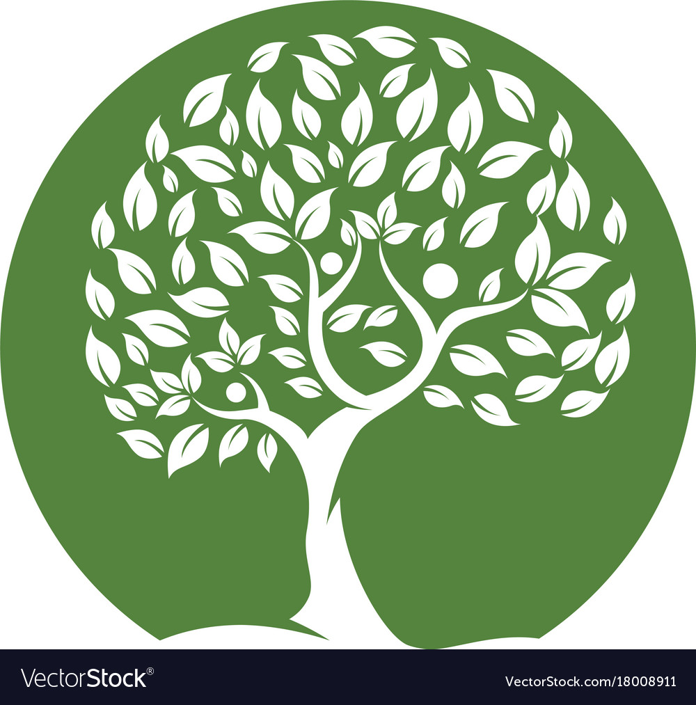 Family tree logo template Royalty Free Vector Image