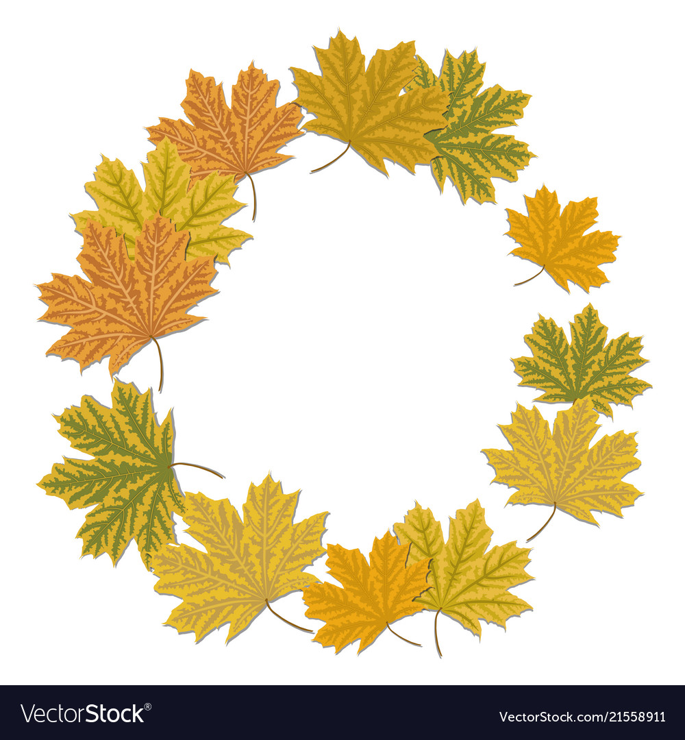 Round maple leaf frame autumnal wreath vector image Round maple leaf frame autumnal wreath