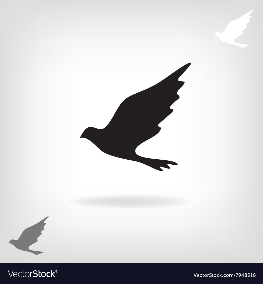 Black bird isolated with expanded wings