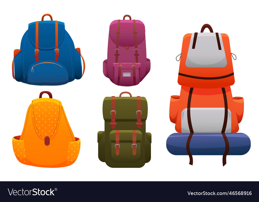 Set of beautiful backpacks for sports leisure