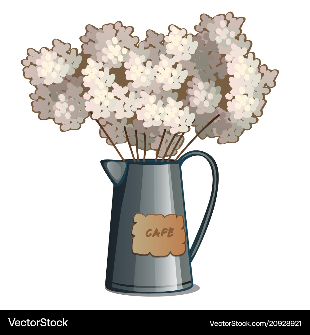 Metal kettle with lush white flowers Royalty Free Vector