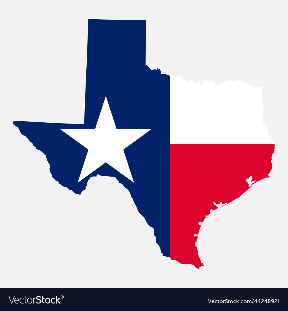 Texas map shape united states of america flat Vector Image